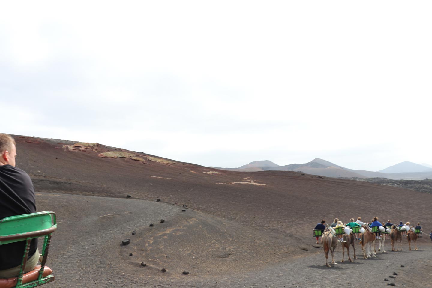 Dromedary Riding - Ruta de Los Volcanes IV