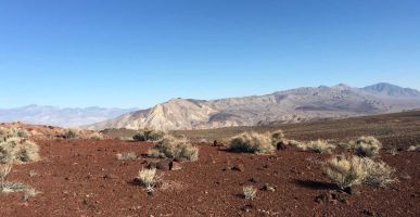 desert desert
