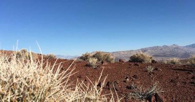 desert2 desert2